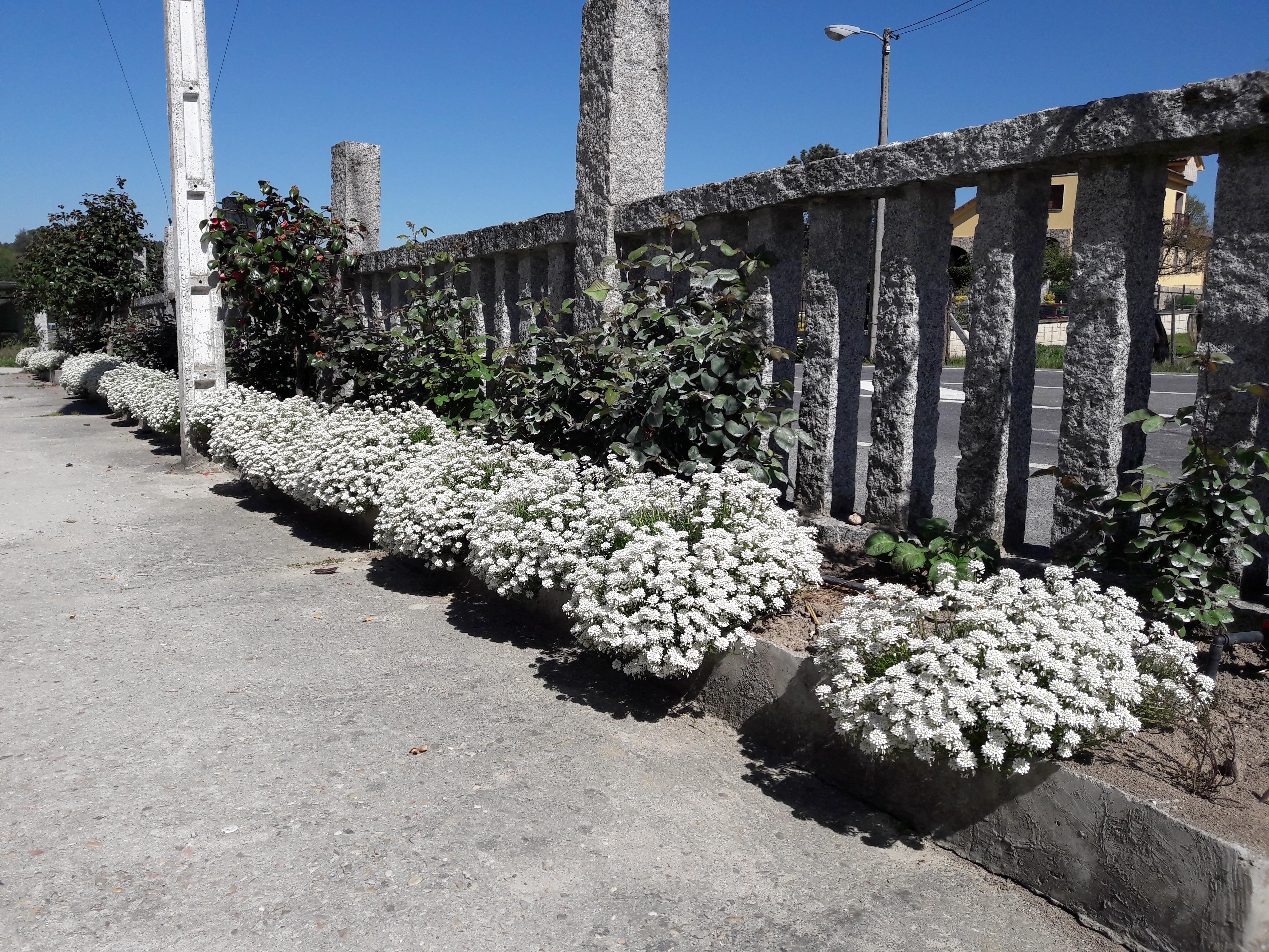 Hostal Sequeiros San Ciprian de Vinas Екстер'єр фото